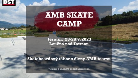 AMB Skate Camp 2023