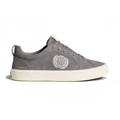 Shoes Cariuma  x The Berrics CATIBA Pro Grey