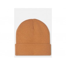 Dickies Gibsland Beanie světle hnědý
