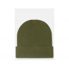 Dickies Gibsland Beanie olive