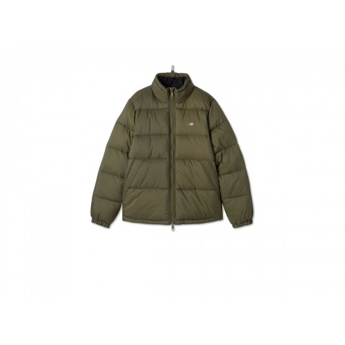 Dickies Waldenburg olive