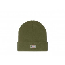 Dickies Gibsland Beanie olive