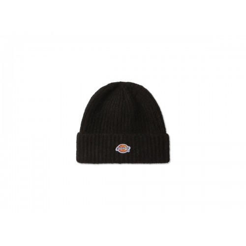 Dickies Brewton Beanie černý