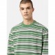 Dickies Westover Stripe Sweatshirt zelená