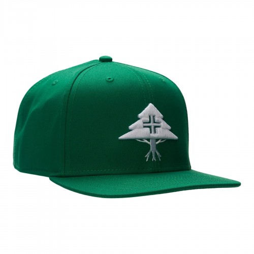 LRG Legacy Tree Snapback zelená / bílá