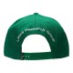 LRG Legacy Tree Snapback zelená / bílá