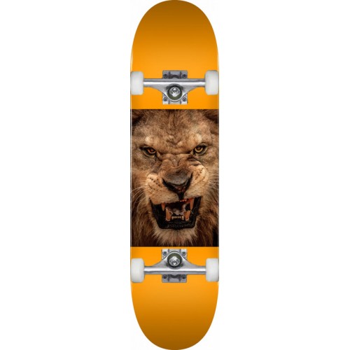 Skateboard ML BIRCH "14" 8.25 243 K20 CHEVRON LION EYES