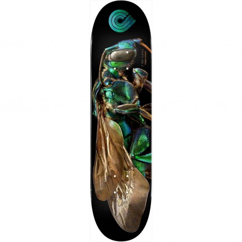 Deska Powell Peralta  Levon Biss Cuckoo Bee • 8.0"