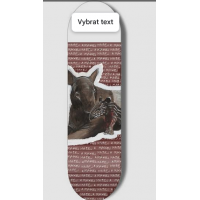 Ambassadors PRO ´23 Kristian Nguyen "Tapir" deck